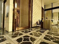 The Ritz-Carlton  (D9), Condominium #537148901